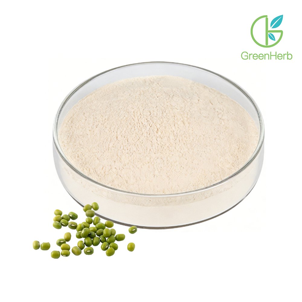 Mung Protein Powder close‑up texture detail