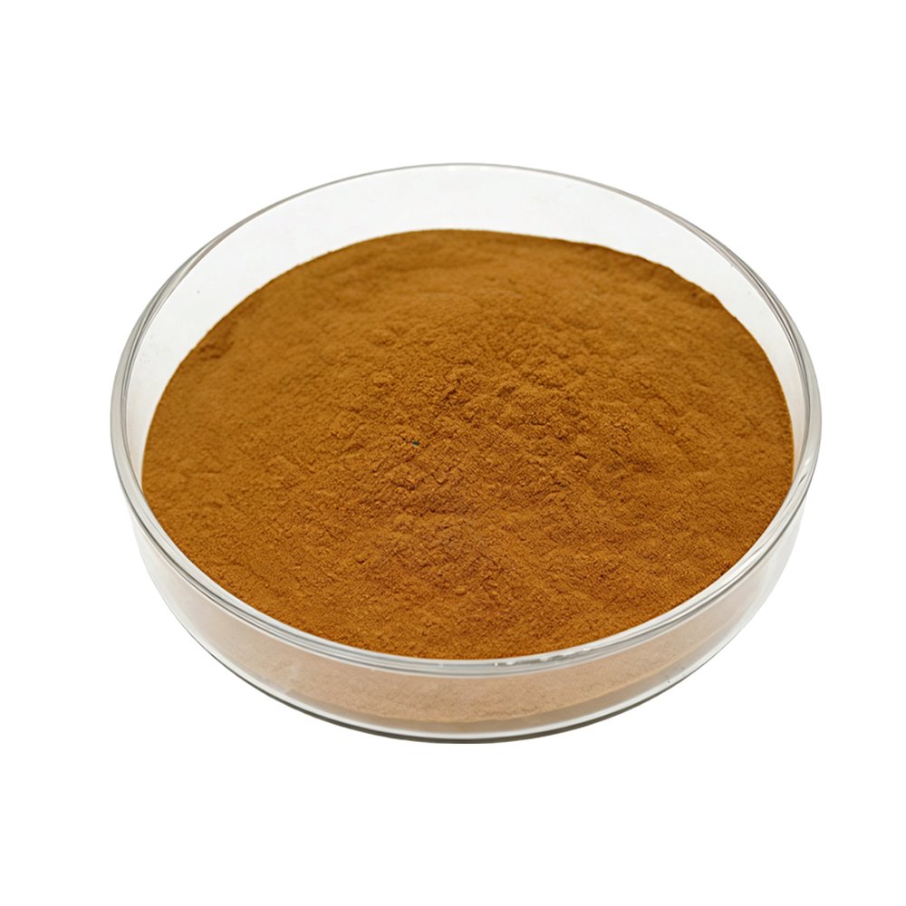 Red-brown Chili Pepper Extract fine powder detail