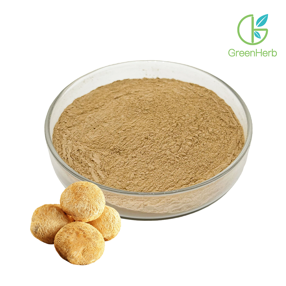 Lion's Mane Mushroom Extract